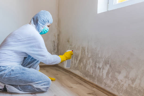 Licensed Mold Inspection service in Boonsboro, MD - WQB Mold Removal